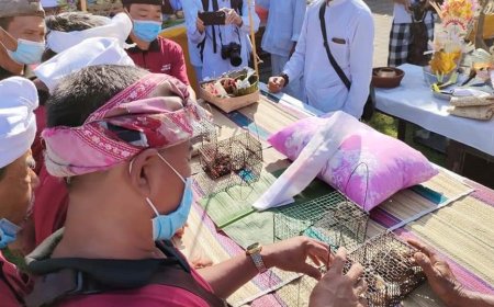 Mreteka Merana: Ritual Pembersihan Aspek Niskala Desa Adat Bedha