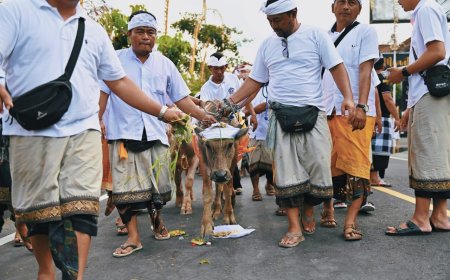 Mapepade Agung: Ritual Bali yang Menyuguhkan Kenunikan Penyucian Hewan