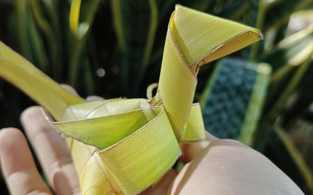 Tipat Dampulan: Kura-Kura yang Berkelana, Simbol Pematangan Jiwa