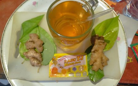 Natural Remedies from the Lontar Usadha Punguan: The Traditional Balinese Healing Heritage for Cough Relief