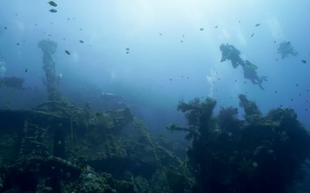 The Stranded Ship in Tulamben: From a War Relic to a Hidden Underwater Paradise in Bali