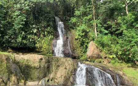 Adventure Behind the Dense Forest: Finding Beauty at Layana Waterfall