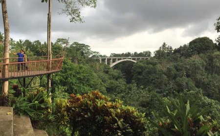 Pesona Tanah Wuk Sangeh: Destinasi Wisata Alam yang Menyegarkan Jiwa