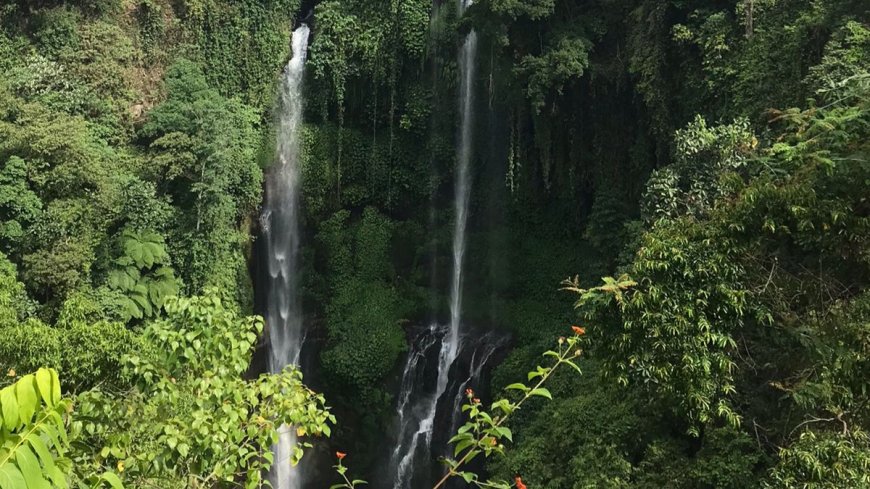 Fiji Waterfall Buleleng: A Refreshing Hidden Beauty Amidst Bali's Nature