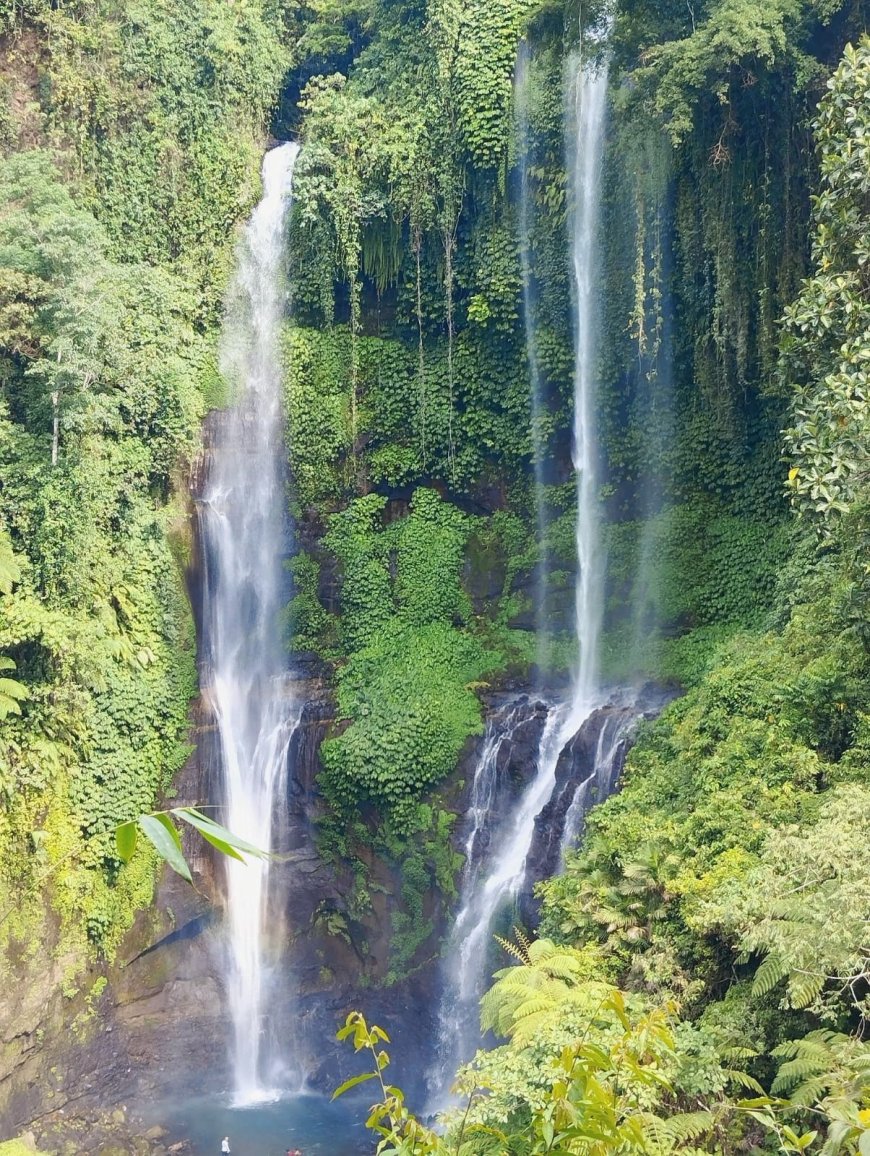 Air Terjun Fiji Buleleng: Keindahan Tersembunyi yang Menyegarkan di Tengah Alam Bali