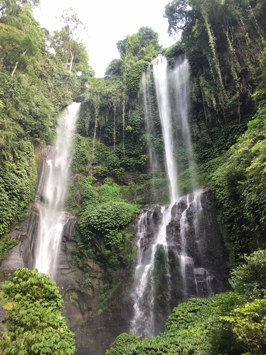 Air Terjun Fiji Buleleng: Keindahan Tersembunyi yang Menyegarkan di Tengah Alam Bali