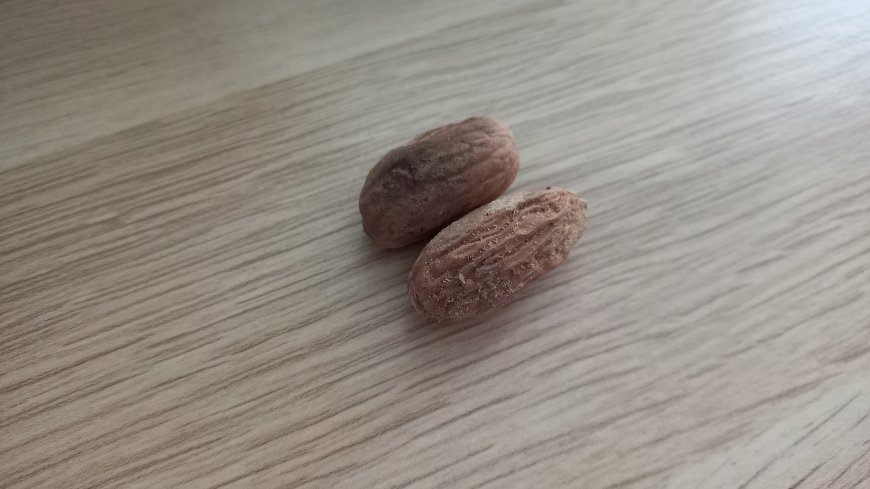 Nutmeg: Traditional Usadha Bali Remedy for Digestion and Cold Relief