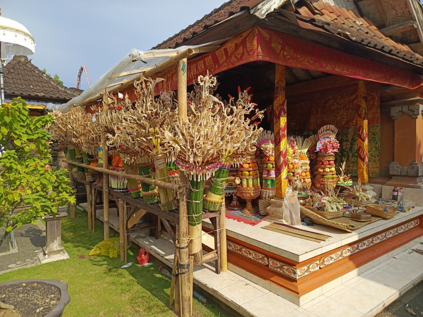 The Ngejot Jerimpen Galungan Tradition in Baha Village: The Meaning and Role of Newlyweds in Preserving Balinese Culture