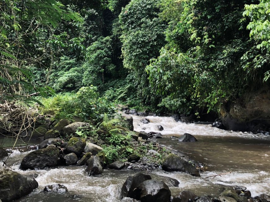 Ayung River Bali: A Water Adventure Combining Nature, History, and Thrills