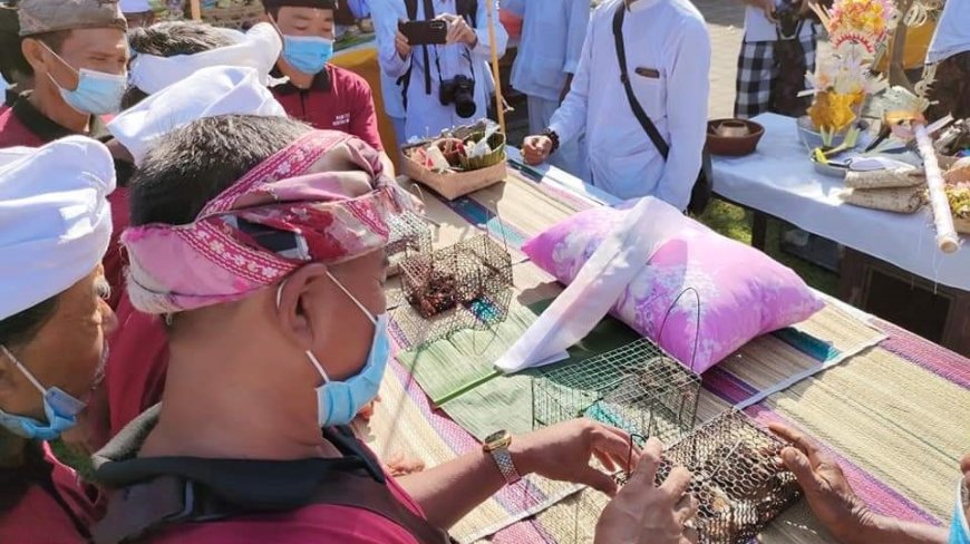 Mreteka Merana: Ritual for Cleansing the Niskala Aspect of Bedha Traditional Village