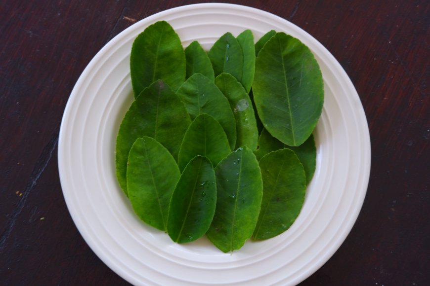 Exploring the Benefits of Lime Leaves in Usada Taru Pramana: Natural Medicine with Numerous Health Advantages