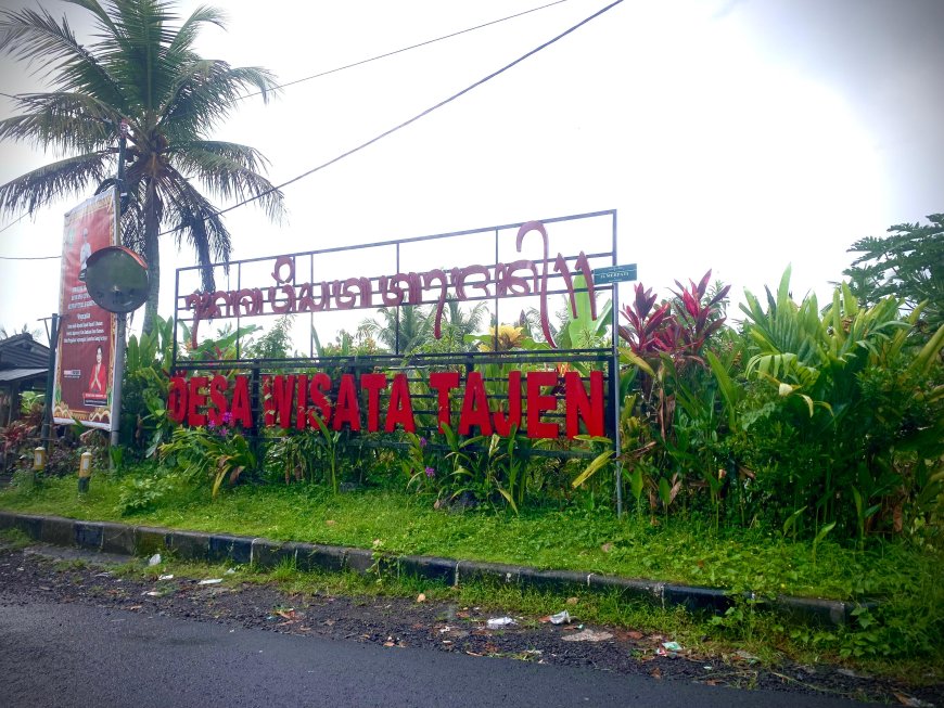 Unveiling the Beauty of Tajen Tourist Village: Green Rice Fields in the Embrace of Balinese Culture