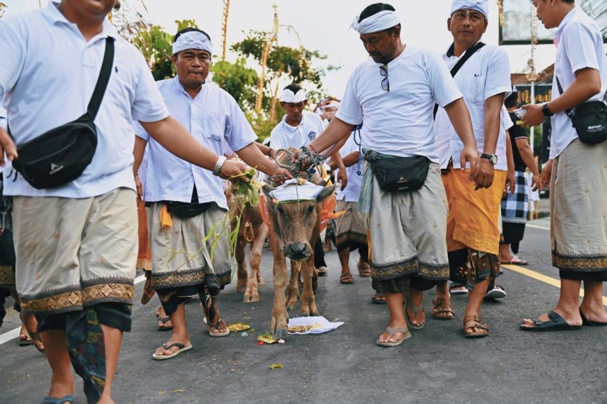 Mapepade Agung: A Balinese Ritual Showcasing the Unique Purification of Animals