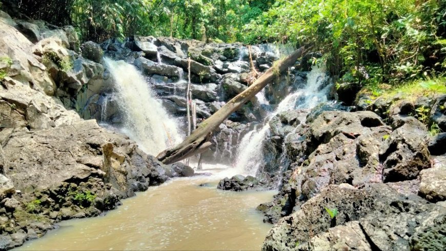 Cleansing Ritual at Yeh Nu: Unveiling Hidden Purity in Bali's Lush Forest