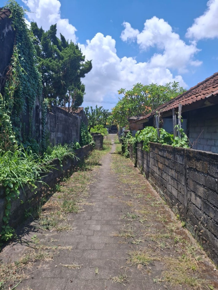 Pura Luhur Catur Kanda Pat Sari: Empat Jalan Ilmu dalam Lingkaran Dewata Nawa Sanga