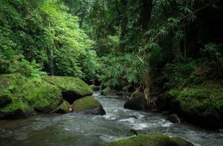 Jemeng Waterfall: A Serene Place for Melukat Amidst Bali's Natural Beauty