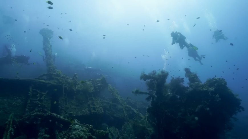 The Stranded Ship in Tulamben: From a War Relic to a Hidden Underwater Paradise in Bali