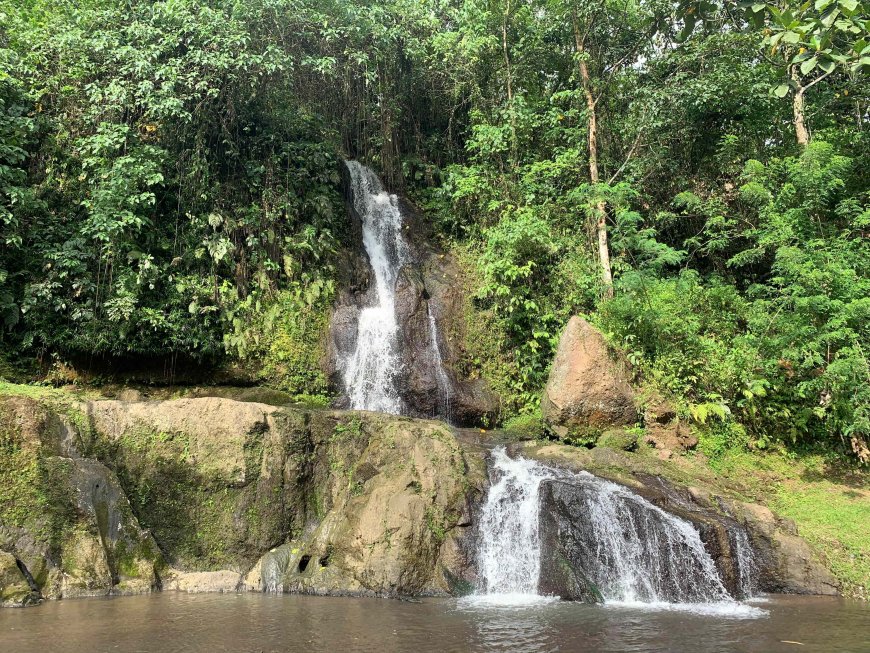 Adventure Behind the Dense Forest: Finding Beauty at Layana Waterfall