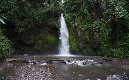 Peace and the Beauty of Nature at Goa Gong Batu Lantang Waterfall