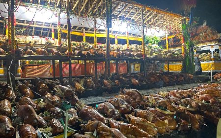 Guling Siyu: Persembahan Ribuan Babi dalam Ritual Usaba Sumbu Desa Timbrah, Karangasem