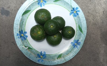 Rahasia Buah Limau dalam Usadha Mala untuk Keseimbangan Fisik dan Spiritual