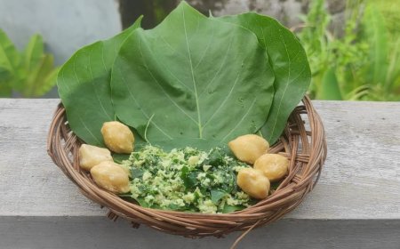 The Role of Candlenut as a Medicinal Ingredient in the Lontar Usadha Dalem