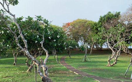Penjelajahan Virtual Pulau Nusa Dharma
