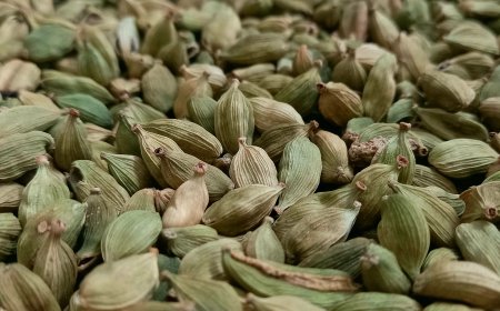 Cardamom as a Versatile Spice: Its Benefits in Balinese Traditional Medicine