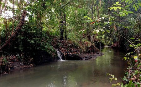 Keaslian Mata Air Sudhamala di Desa Adat Angantaka
