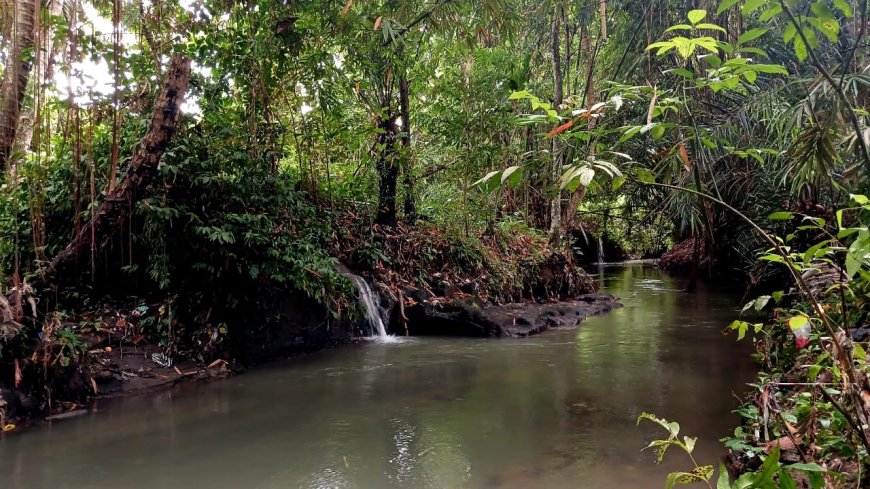 The Authenticity of Sudhamala Spring in Angantaka Traditional Village