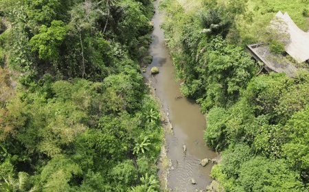Menyelami Pesona Ubud: Eksplorasi Sungai Wos yang Menakjubkan