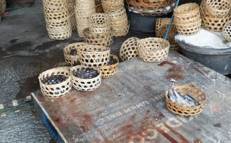 Pemindangan Ikan Kusamba: Kolaborasi Harmonis Alam dan Kearifan Lokal