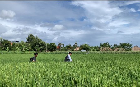 Virtual Tour of Kertalangu Cultural Village, an Exciting Nature Experience