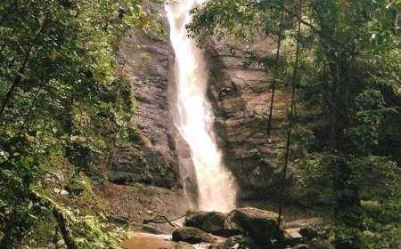 Air Terjun Pangkung Sakti: Destinasi Alam Memukau di Angkah, Selemadeg Barat