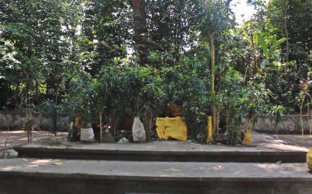 The Story and History of the Establishment of Pura Batur Kendengan in Tinggarsari Village