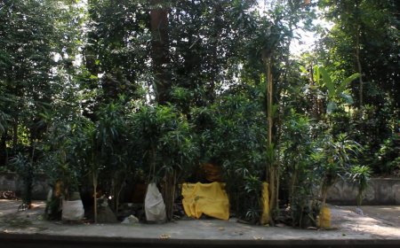 Kisah dan Sejarah Terbentuknya Pura Batur Kendengan di Desa Tinggarsari