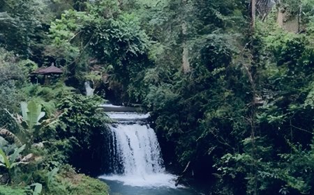 Suganing Waterfall: A Hidden Paradise in Bangli, Crystal Clear Water Like Aqua