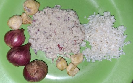 Powerful Medicinal Potion for Healing Tuju Disease (Rheumatism) in Balinese Traditional Medical Palm Leaf Manuscript