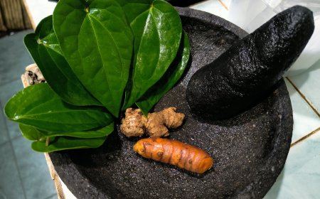 Usadha Taru Pramana for Flatulence: Traditional Balinese Recipes with Simple Kitchen Ingredients