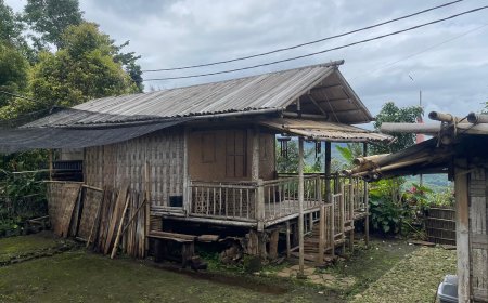 The Beauty of the Traditional House of Pedawa Village: A Fusion of Nature, Culture, and Enduring Local Wisdom.