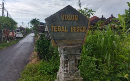 Desa Adat Negari: Harmoni antara Tradisi, Alam, dan Masyarakat Lokal