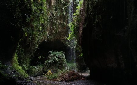 Discovering the Beauty of Yangapi Waterfall Hidden Behind the Canyon Walls in Bali