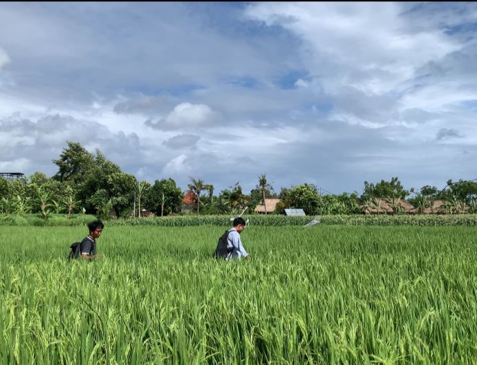 Jelajah Virtual Desa Budaya Kertalangu, Wisata Alam yang Seru