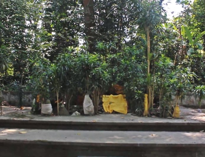 The Story and History of the Establishment of Pura Batur Kendengan in Tinggarsari Village