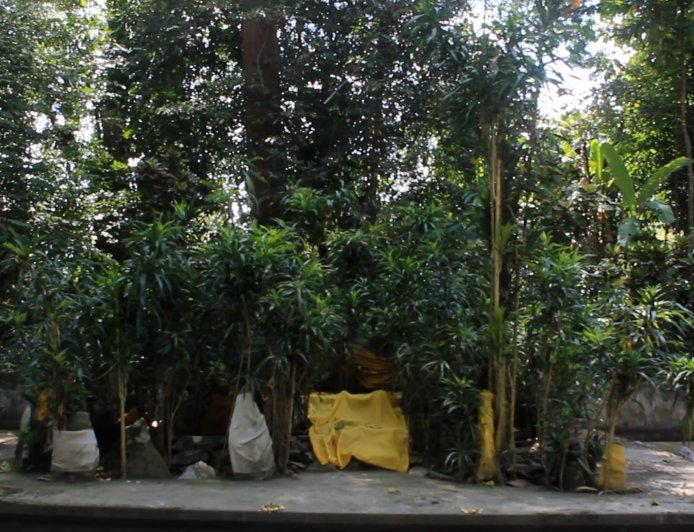 Kisah dan Sejarah Terbentuknya Pura Batur Kendengan di Desa Tinggarsari