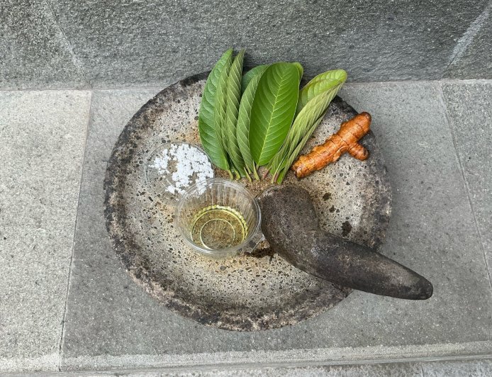 Usadha Seleguih: Ramuan Tradisional Bali untuk Penyembuhan Luka Ringan