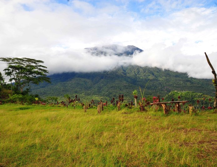 Bukit Cemara: Spot Favorit untuk Melihat Gunung Agung di Bali Timur