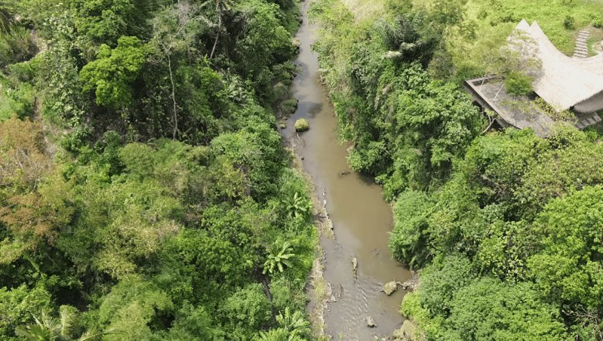 Diving into the Enchantment of Ubud: An Exploration of the Stunning Wos River
