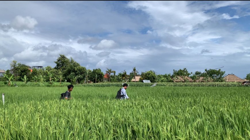 Virtual Tour of Kertalangu Cultural Village, an Exciting Nature Experience