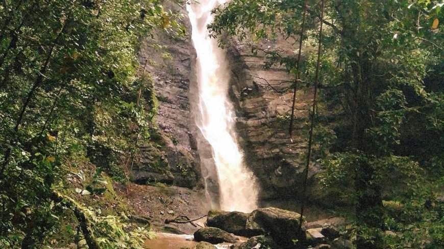 Pangkung Sakti Waterfall: A Stunning Natural Destination in Angkah, West Selemadeg